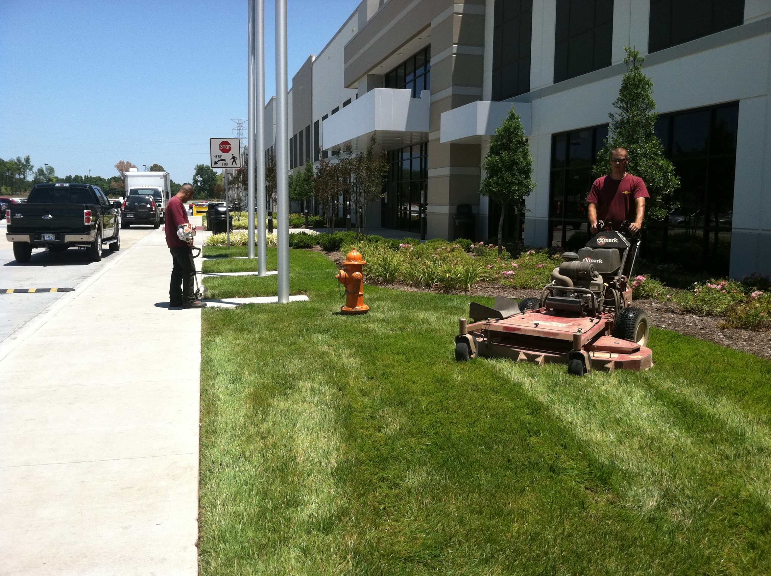 all in one employees landscaping